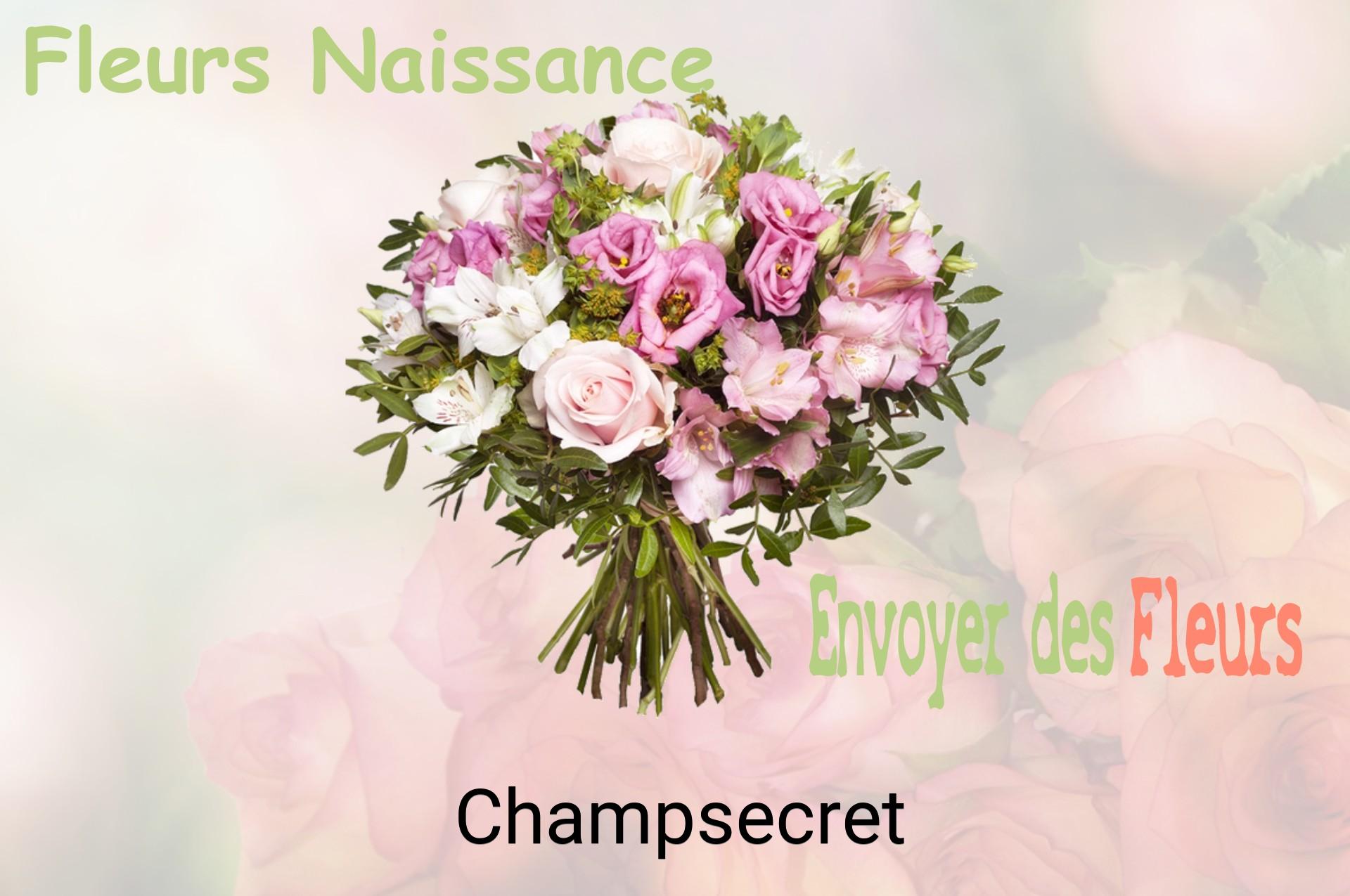 Bouquet de fleurs de naissance livré à Champsecret
